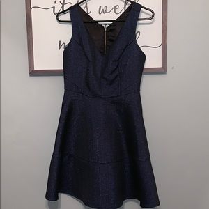 Express Sparkle Dress